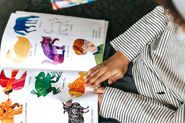 Young child reading an early childhood educational book.